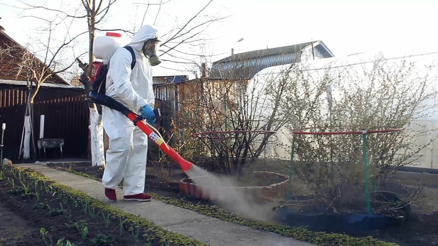 ФОТО Уничтожение муравьёв в Одесском