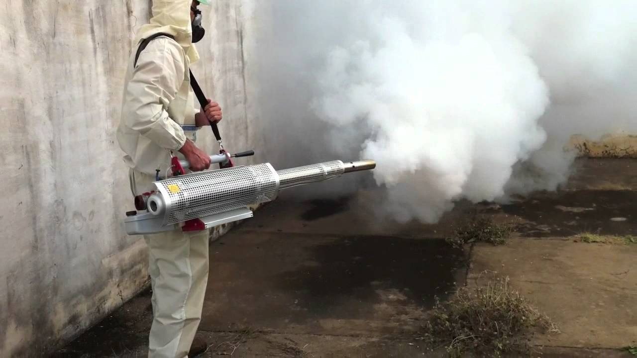 ФОТО Уничтожение мух в Одесском