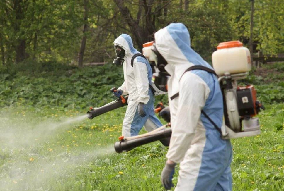 ФОТО Что такое дезинсекция в Одесском? | подробно