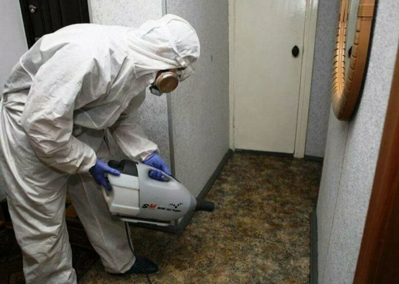 ФОТО Какие методы обработки для дезинсекции существуют в Одесском? | подробно