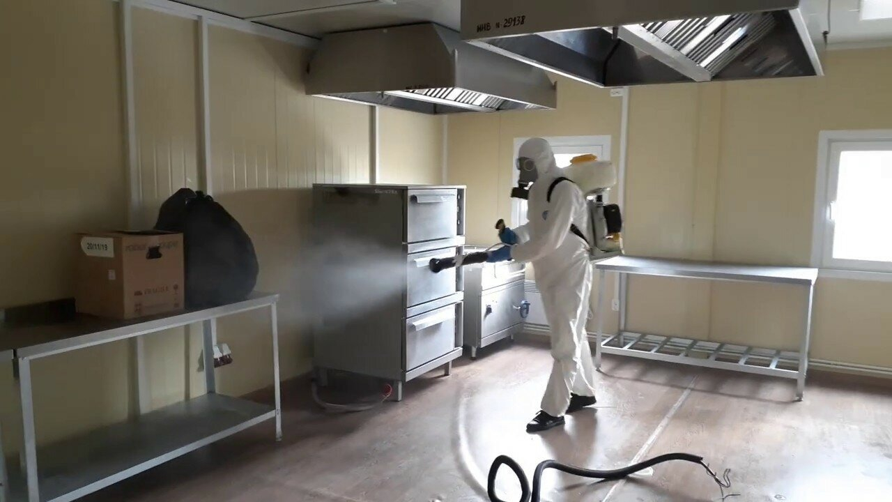 ФОТО Можно ли провести дезинсекцию самостоятельно и какие существуют риски в Одесском? | подробно