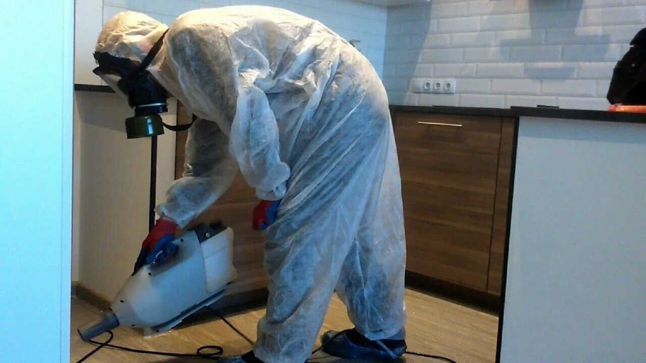 ФОТО Как подготовить домашних животных к обработке от насекомых в Одесском? | подробно