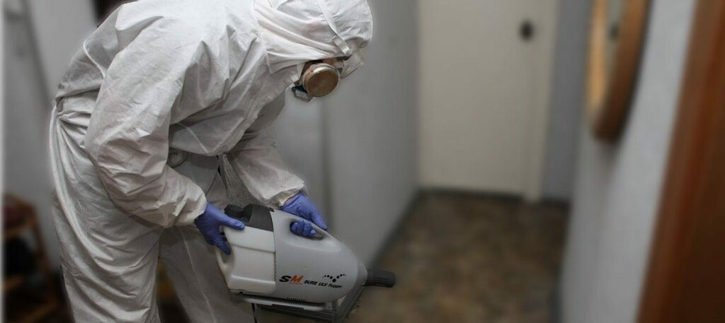 ФОТО Остаются ли следы после обработки квартиры от насекомых в Одесском? | подробно